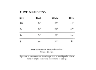 Alice Mini Dress White Lace