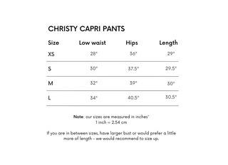Christy Capri Pants - Grey