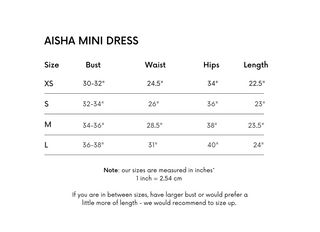 Aisha Mini Dress