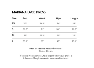 Mariana Lace Slip Mini Dress