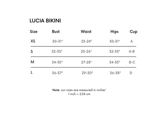 Lucia White Triangle Bikini Top